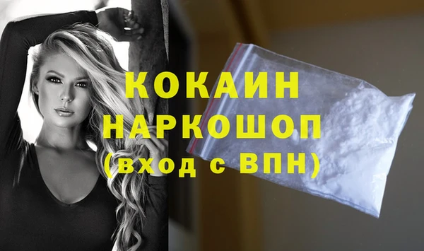 хмурый Алексин