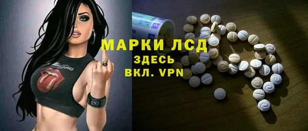 стафф Алзамай