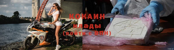 стафф Алзамай