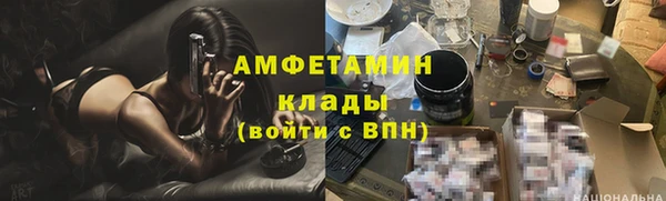 стафф Алзамай