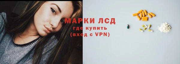 хмурый Алексин