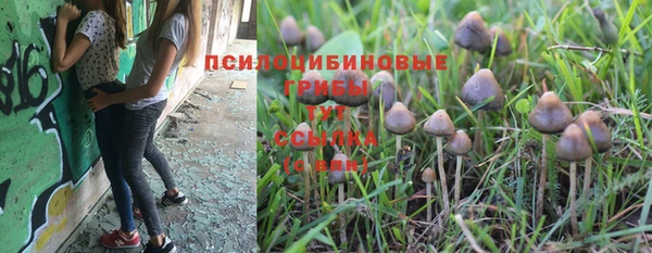 стафф Алзамай