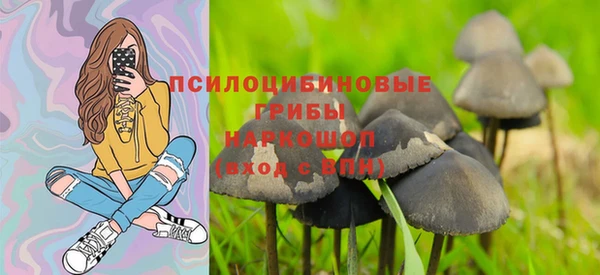 хмурый Алексин