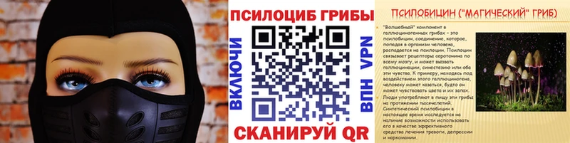 Галлюциногенные грибы Cubensis купить наркотик площадка состав Якутск